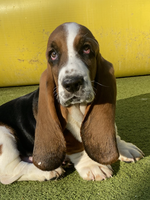 Capture d’écran 2022-11-14 à 15.01.01